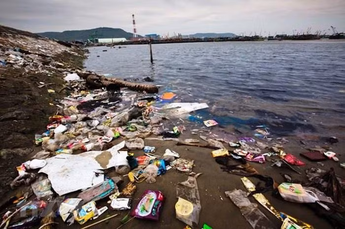 Indonesia y Japón fortalecen cooperación para abordar problemas ambientales ảnh 1 Indonesia y Japón fortalecen cooperación para abordar problemas ambientales ảnh 1