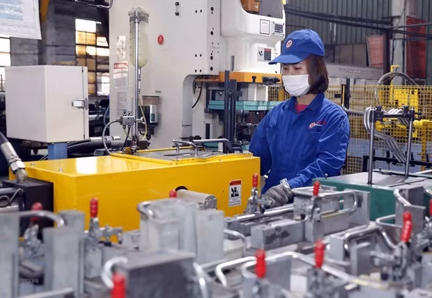 Diplomático checo destaca estrategia para industria 4.0 de Vietnam ảnh 1