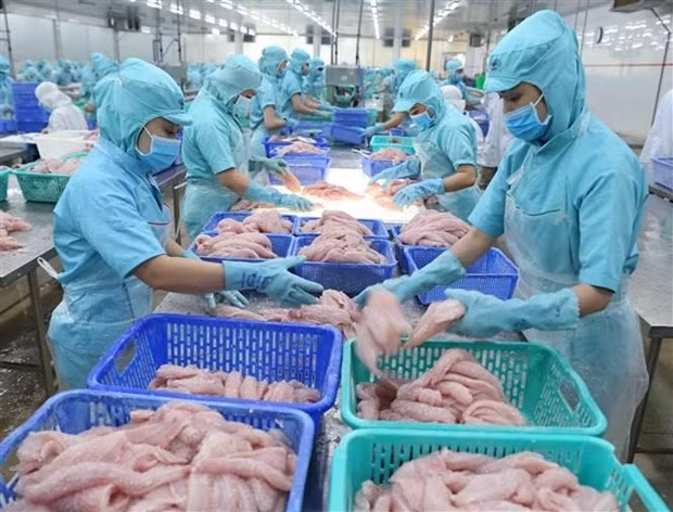 Exportación agrosilvícola y acuícola de Vietnam supera los tres mil millones de dólares en enero ảnh 1