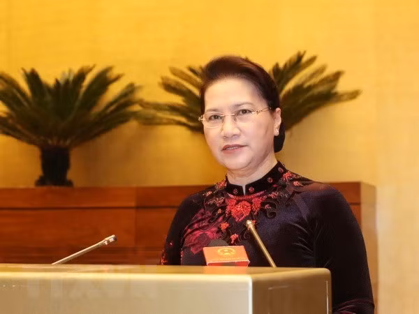 Mantienen determinación de elevar eficiencia de actividades parlamentarias de Vietnam ảnh 1