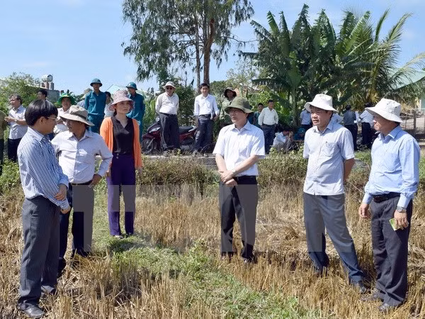 Proyecto gubernamental beneficia a familias pobres en Vietnam ảnh 1 Proyecto gubernamental beneficia a familias pobres en Vietnam ảnh 1