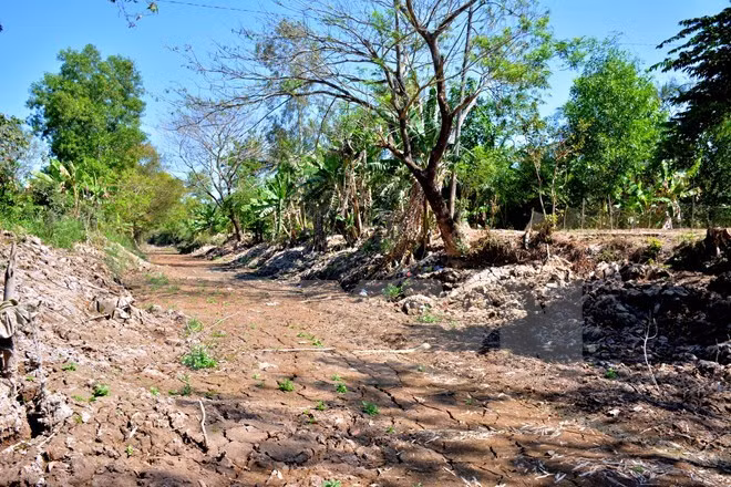 Save the Children apoya a provincia vietnamita en respuesta al cambio climático ảnh 1 Save the Children apoya a provincia vietnamita en respuesta al cambio climático ảnh 1