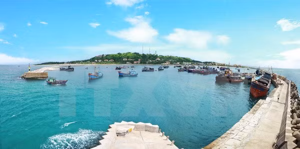 Soluciones para impulsar economía marítima en Vietnam ảnh 1