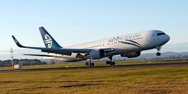 Aerolínea neozelandesa estudia la apertura de vuelos directos a Vietnam ảnh 1