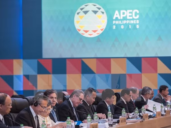 Concluye reunión interministerial de APEC en Manila ảnh 1