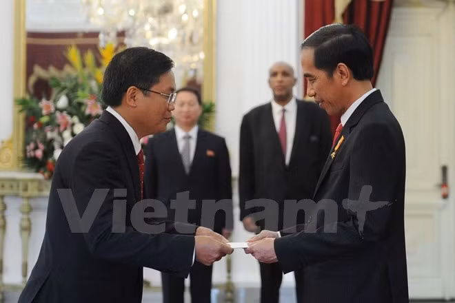 Presidente indonesio valora relaciones de cooperación con Vietnam ảnh 1