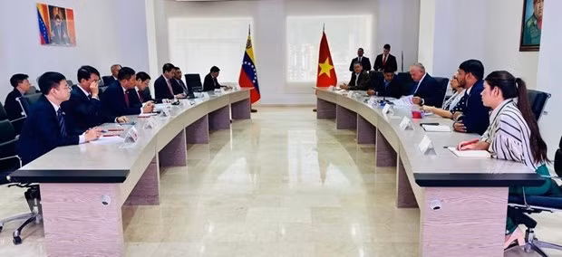 Delegación partidista de Vietnam realiza visita de trabajo en Venezuela ảnh 3