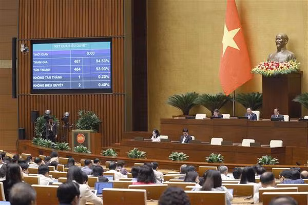 Parlamento ratifica resolución sobre obras de tráfico vial ảnh 1