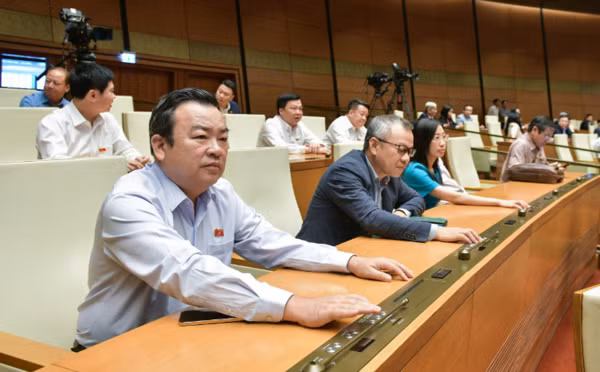 Parlamento aplaza la ratificación de Ley de Tierras (modificada) ảnh 1