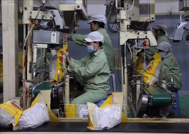 Vietnam se esfuerza por crear entorno transparente y abierto para exporación de arroz ảnh 2