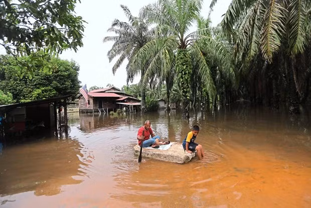 Malasia establece más de ocho mil centros de ayuda contra inundaciones ảnh 1