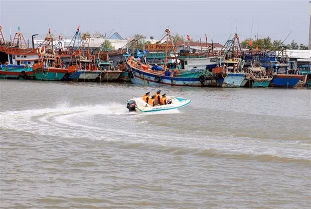 Premier insta a adoptar medidas urgentes contra pesca ilegal ảnh 1
