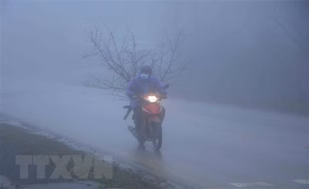 Norte de Vietnam continúa viviendo frío intenso ảnh 1