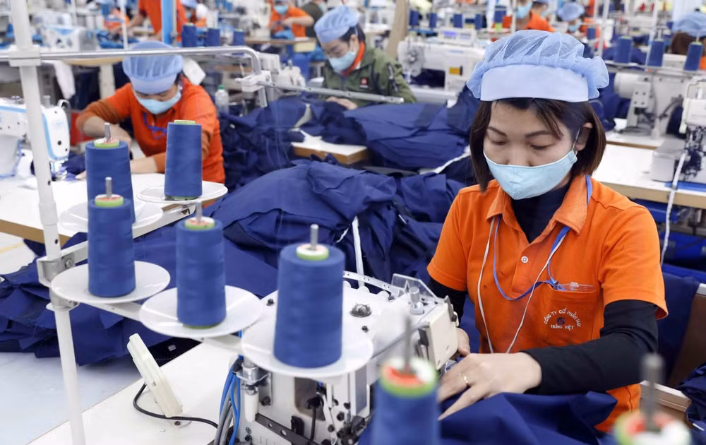Vietnam trabaja para impulsar exportaciones al norte de Europa ảnh 1