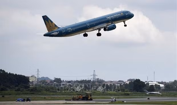 Vietnam Airlines brindará servicio de transporte de ramas de flores representativas del Tet ảnh 1