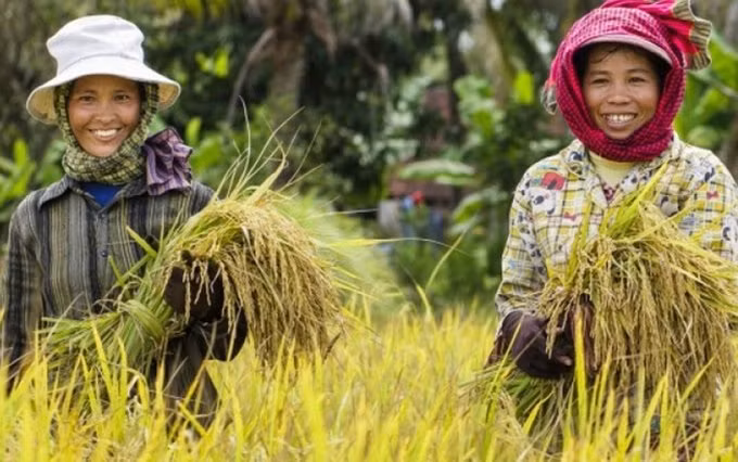 Aumentan exportaciones de productos agrícolas camboyanos a Vietnam ảnh 1