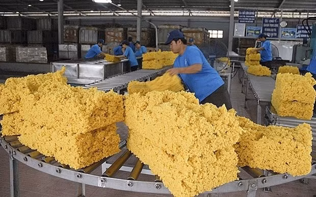 Exportaciones de caucho vietnamita alcanzaron más de tres mil millones de dólares en 2021 ảnh 1