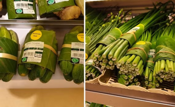 Vietnam se esfuerza por eliminar residuos plásticos ảnh 1