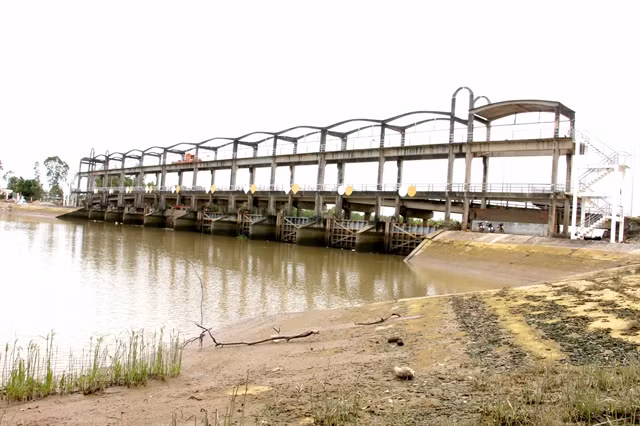 Delta del río Mekong en Vietnam por almacenar agua para estación seca ảnh 1