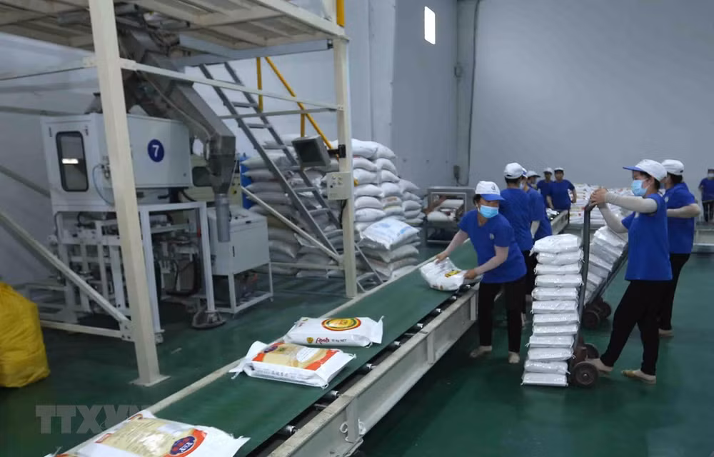 Unión Europea sigue siendo mercado potencial para la exportación arrocera de Vietnam ảnh 2