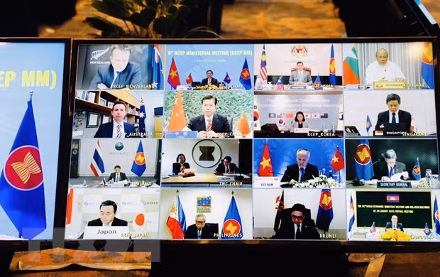 Vietnam busca implementar con eficiencia acuerdo regional RCEP ảnh 2