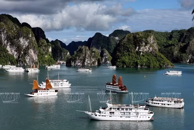 Cruceros en la bahía de Ha Long ảnh 1 Cruceros en la bahía de Ha Long ảnh 1
