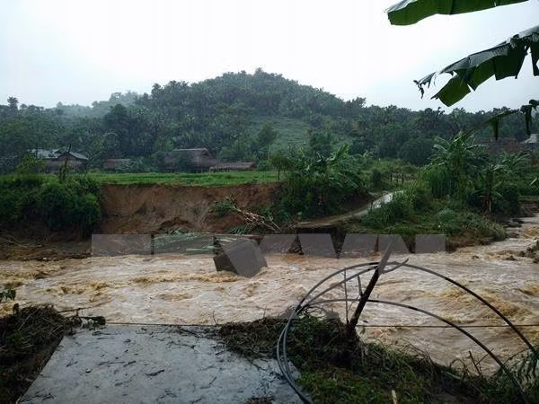 Tifón Dianmu dejó decenas de muertos y heridos en Vietnam ảnh 1