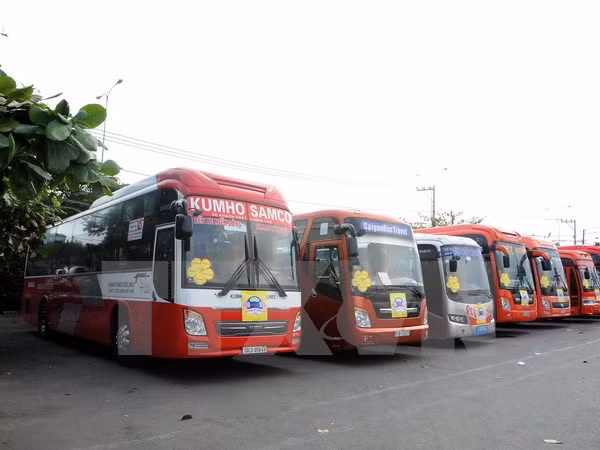 Crearán tres rutas de transporte de pasajeros Vietnam-Laos-Tailandia ảnh 1