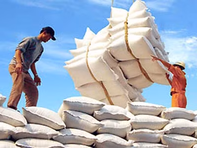 Vietnam busca aumentar exportaciones de arroz de alta calidad ảnh 1 Vietnam busca aumentar exportaciones de arroz de alta calidad ảnh 1