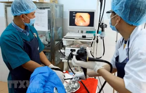 Aprueba el Banco Mundial préstamo para proyecto sanitario en Vietnam ảnh 1