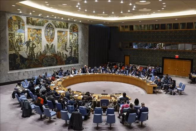 Expresa periodista egipcio confianza en elección de Vietnam al Consejo de Seguridad de la ONU ảnh 1 Expresa periodista egipcio confianza en elección de Vietnam al Consejo de Seguridad de la ONU ảnh 1