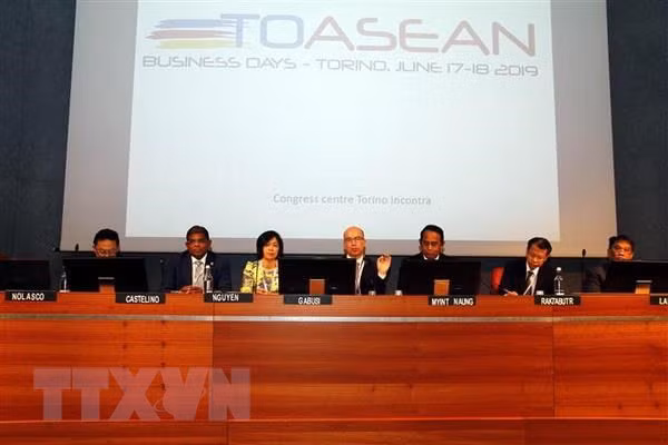 Promueven oportunidades de negocios entre Italia y ASEAN ảnh 1