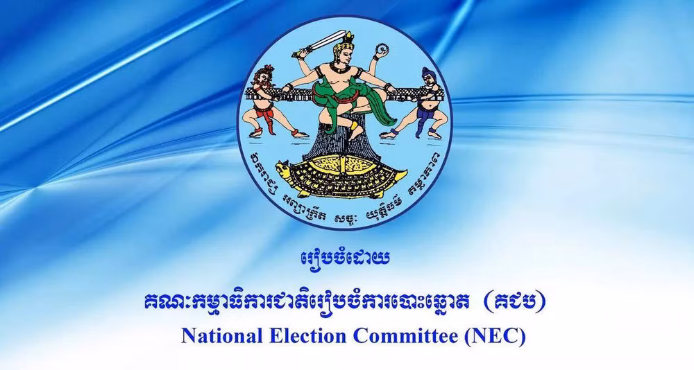 Camboya anuncia resultados oficiales de las elecciones de consejos locales ảnh 1