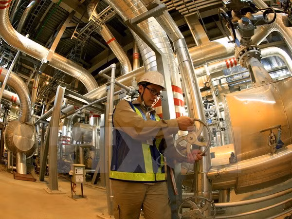 Estimula Vietnam inversiones de empresas singapurenses ảnh 1