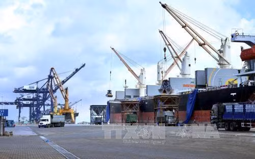 Crece comercio entre Vietnam y América Latina más de un 20 por ciento en primeros cinco meses de 2019 ảnh 1 Crece comercio entre Vietnam y América Latina más de un 20 por ciento en primeros cinco meses de 2019 ảnh 1