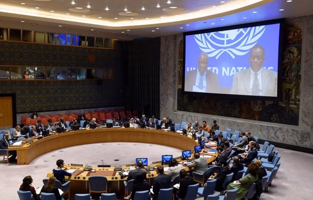 Vietnam elegido miembro no permanente del Consejo de Seguridad de ONU ảnh 1