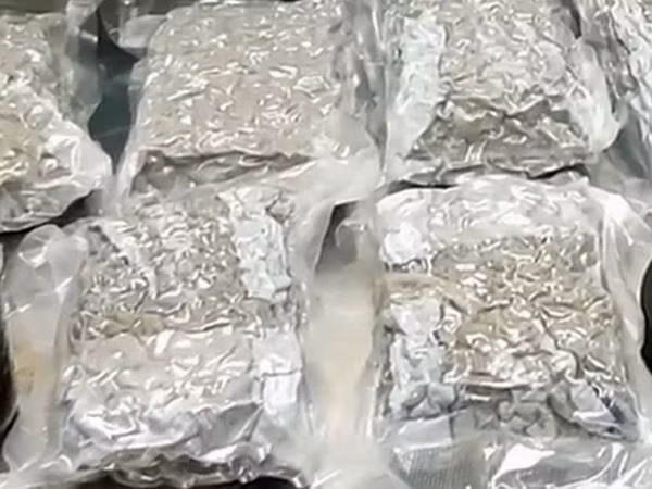 Desarticulan redes de traficantes de metanfetamina en Vietnam ảnh 1