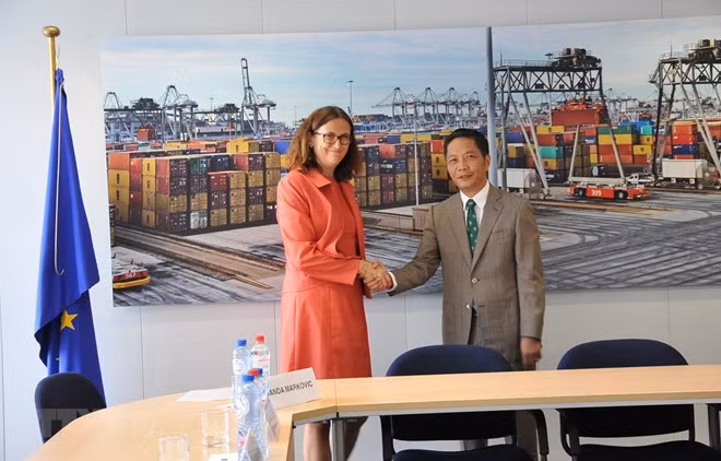 Abre Tratado de Libre Comercio oportunidades para mercancías vietnamita en el mercado europeo ảnh 1