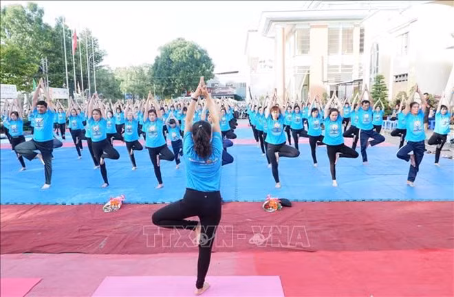 Celebrarán en Vietnam el V Día Internacional del Yoga ảnh 1 Celebrarán en Vietnam el V Día Internacional del Yoga ảnh 1