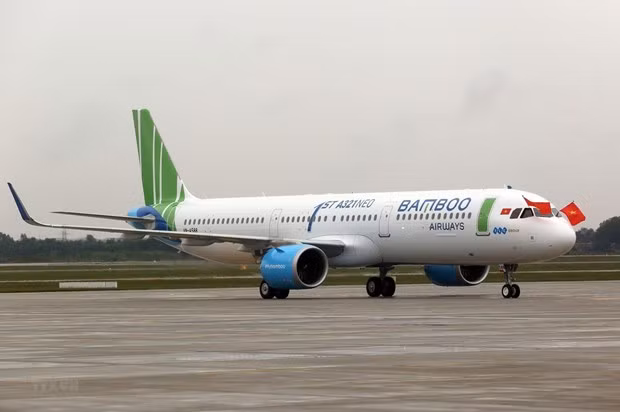 Abrirán nuevas rutas aéreas entre Vietnam y Japón ảnh 1 Abrirán nuevas rutas aéreas entre Vietnam y Japón ảnh 1