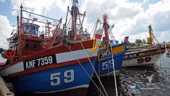 Prohíbe Tailandia la captura de mariscos en sus aguas ảnh 1