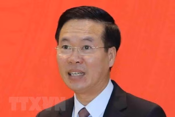 Fomenta Vietnam amistad y cooperación multifacética con Costa de Marfil ảnh 1