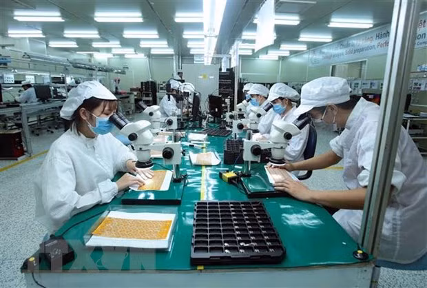 Hitos en las negociaciones para la firma del Tratado de Libre Comercio entre Vietnam y la UE ảnh 1