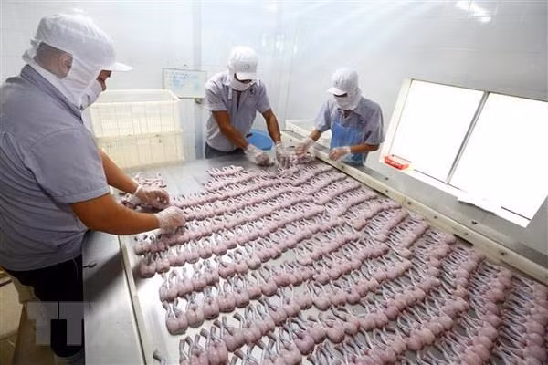 Reducen exportaciones de productos acuáticos de Vietnam ảnh 1 Reducen exportaciones de productos acuáticos de Vietnam ảnh 1