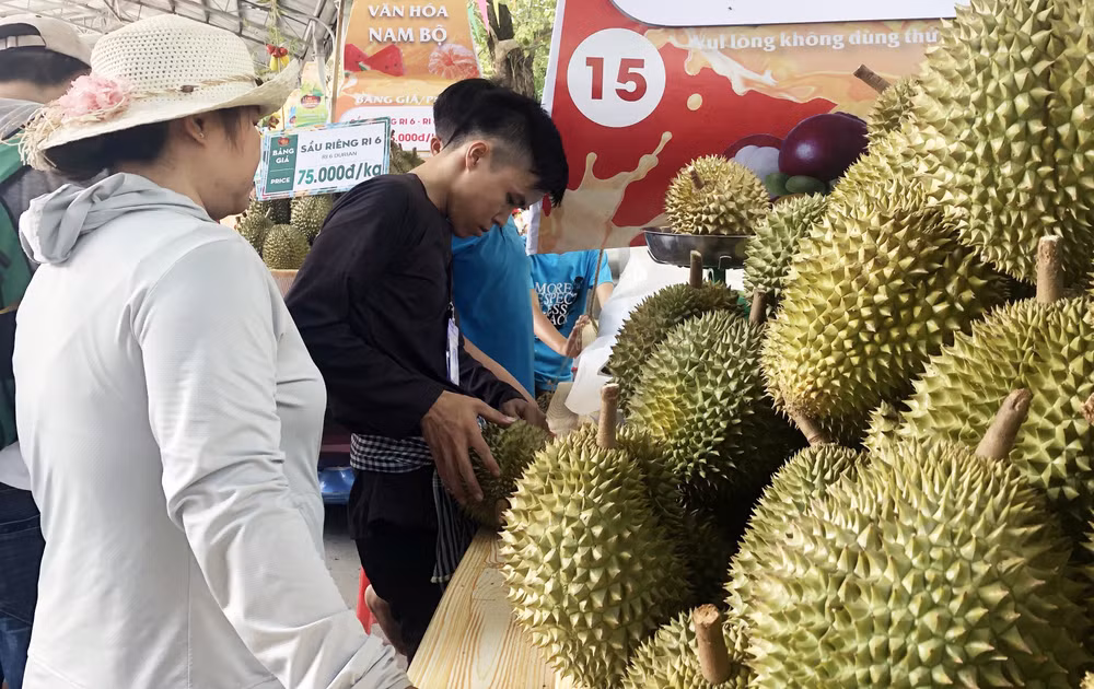 Promueven potencialidades del “reino de las frutas” en el Sur de Vietnam ảnh 1 Promueven potencialidades del “reino de las frutas” en el Sur de Vietnam ảnh 1
