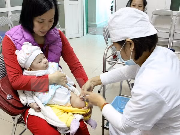 Recomiendan a población vietnamita usar vacuna Quinvaxem ảnh 1