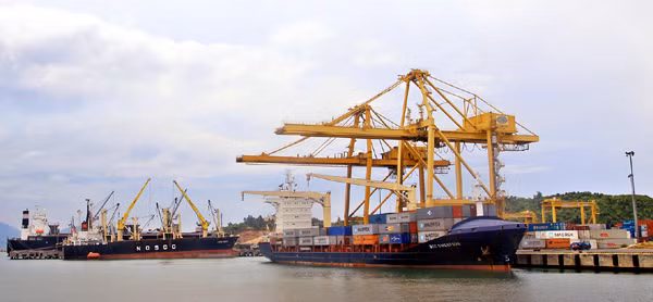 Puerto Da Nang anuncia plan de elevar cifra de mercancías despachadas en 2016 ảnh 1