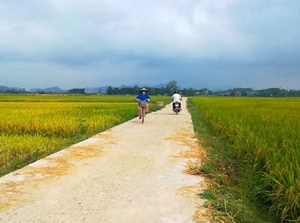 Thua Thien- Hue busca agilizar construcción de nuevas zonas rurales en 2016 ảnh 1 Thua Thien- Hue busca agilizar construcción de nuevas zonas rurales en 2016 ảnh 1