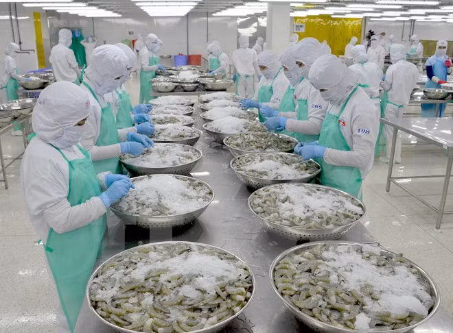 Estados Unidos, uno de los socios comerciales más importantes de Vietnam ảnh 1 Estados Unidos, uno de los socios comerciales más importantes de Vietnam ảnh 1