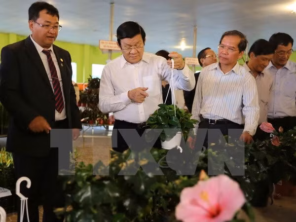 Presidente aplaude esfuerzos de provincia de Lam Dong en desarrollo agrícola ảnh 1 Presidente aplaude esfuerzos de provincia de Lam Dong en desarrollo agrícola ảnh 1